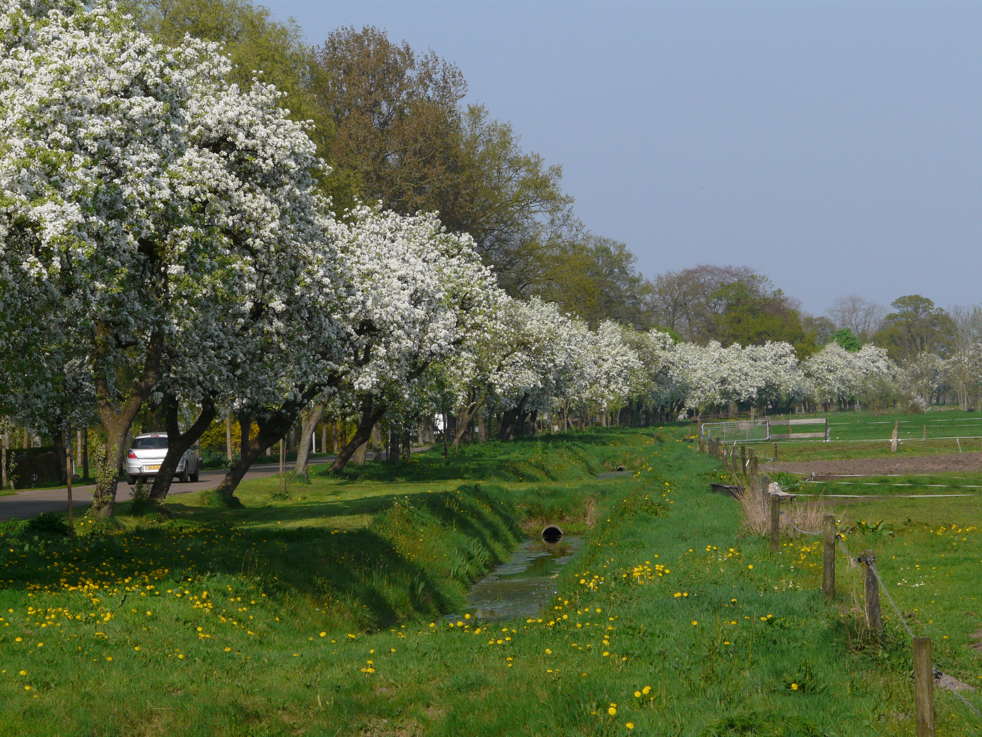 Foto van Ruinerwold