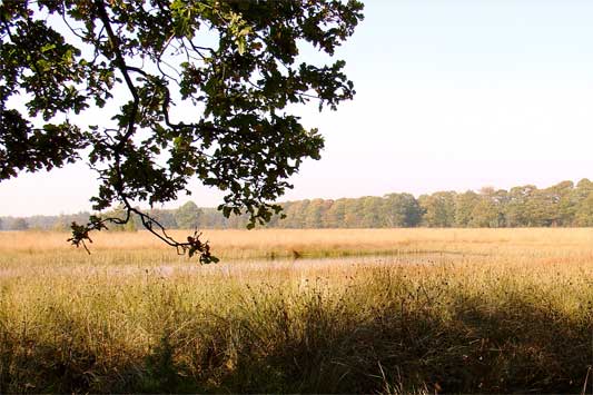Foto van Schoonloo