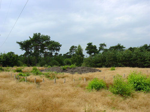 Foto van Steensel