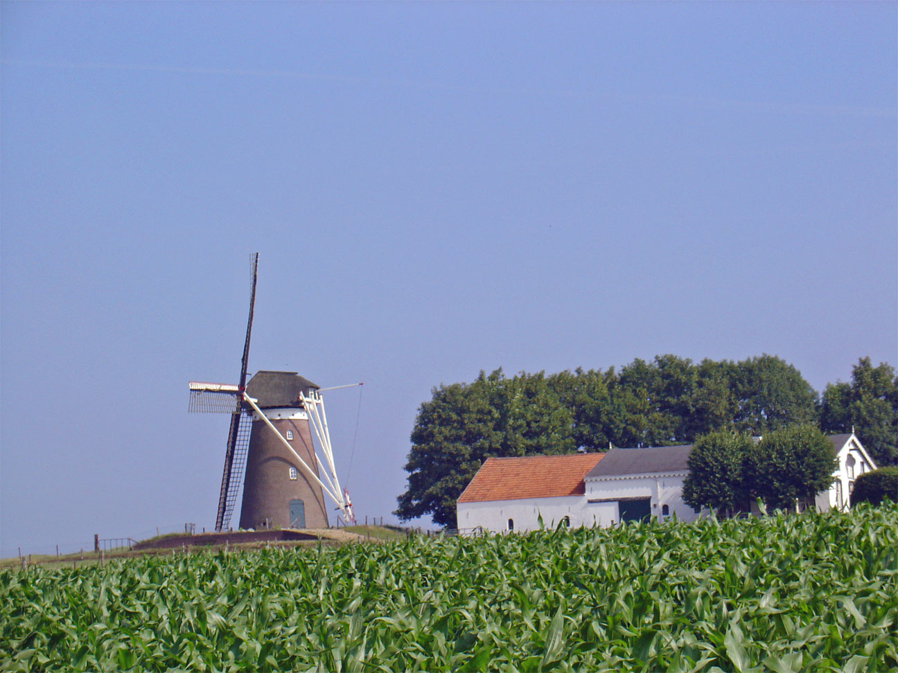 Foto van Stokkum