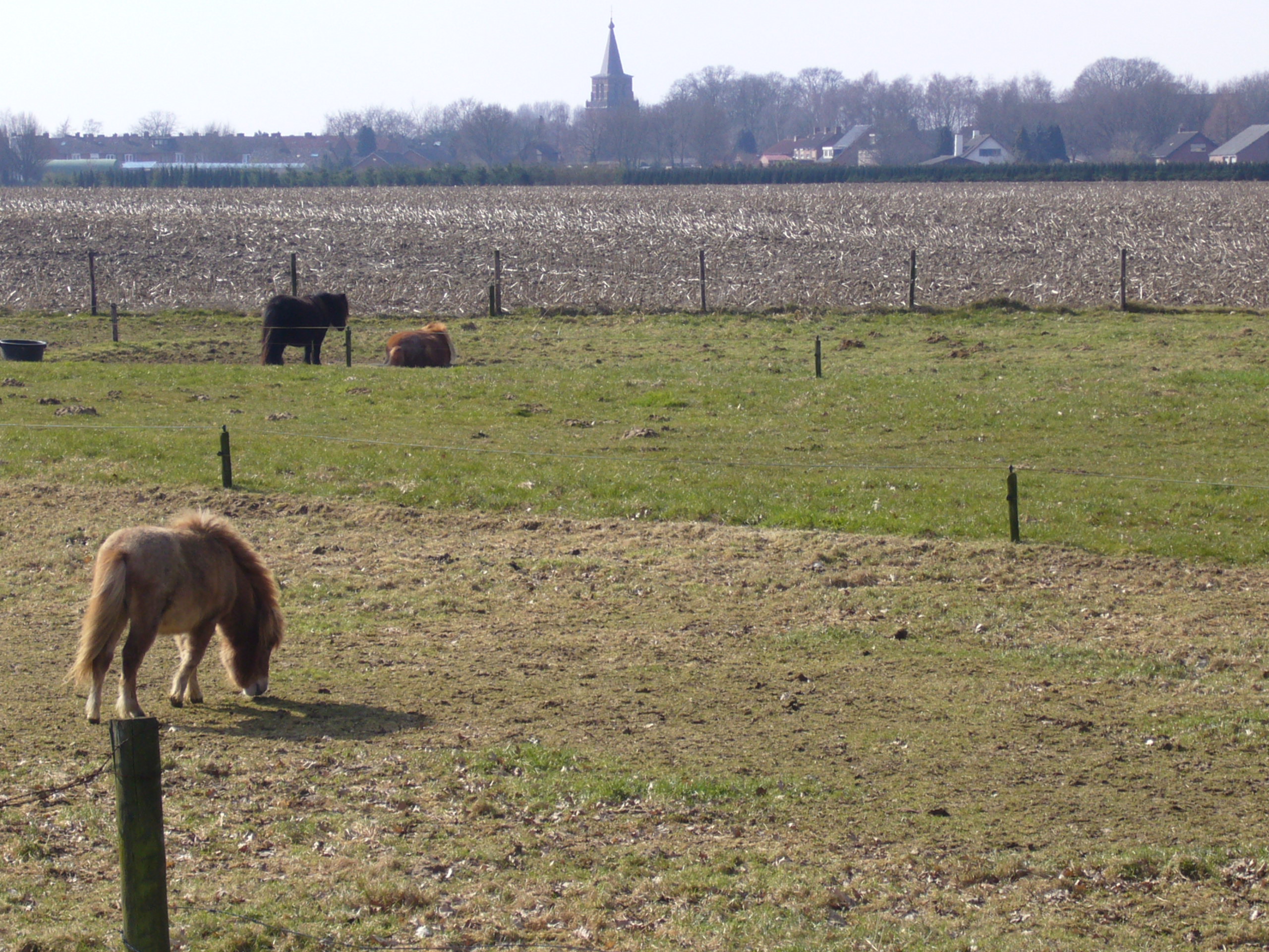 Foto van Tienray