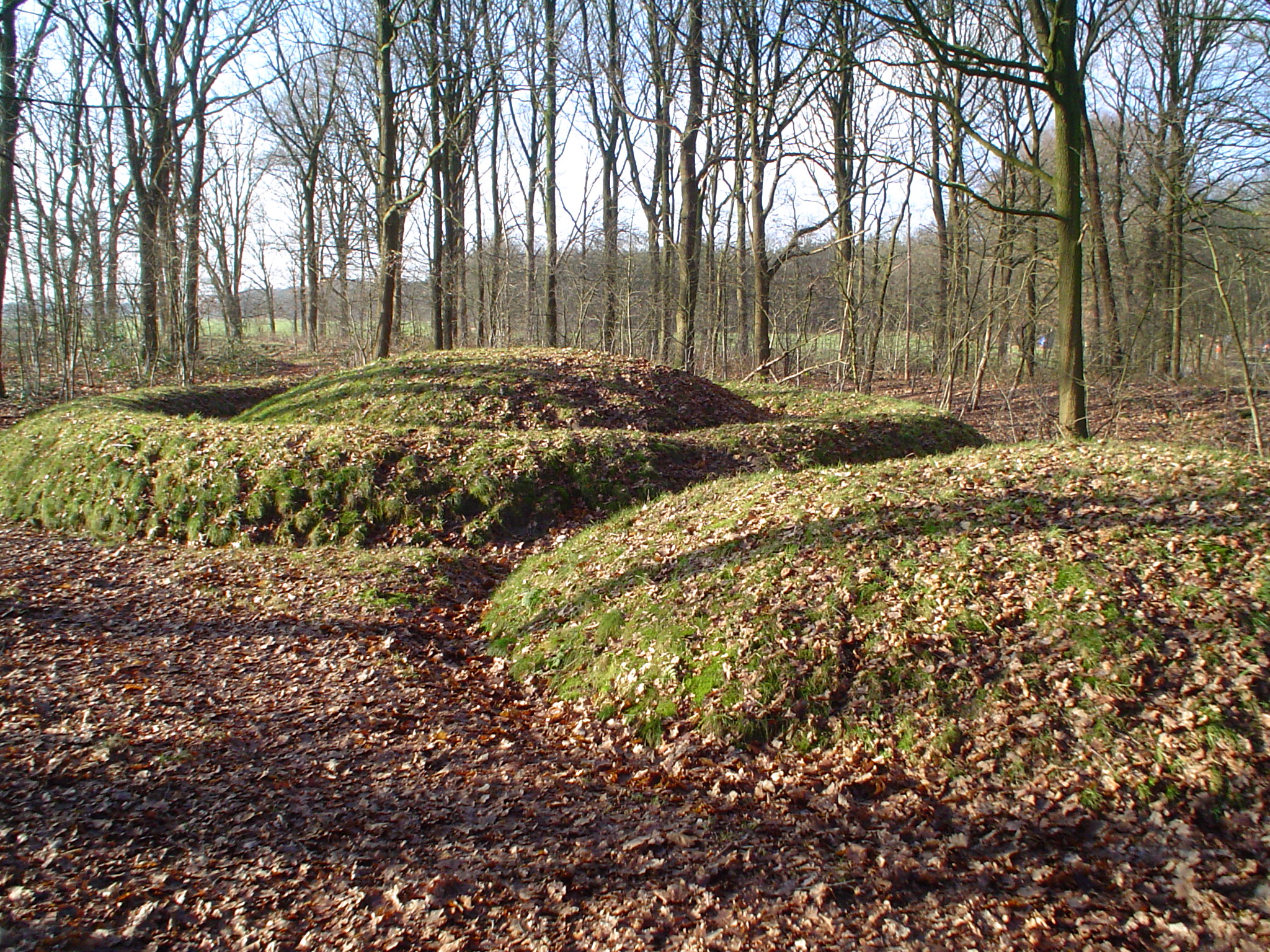 Foto van Veldhoven