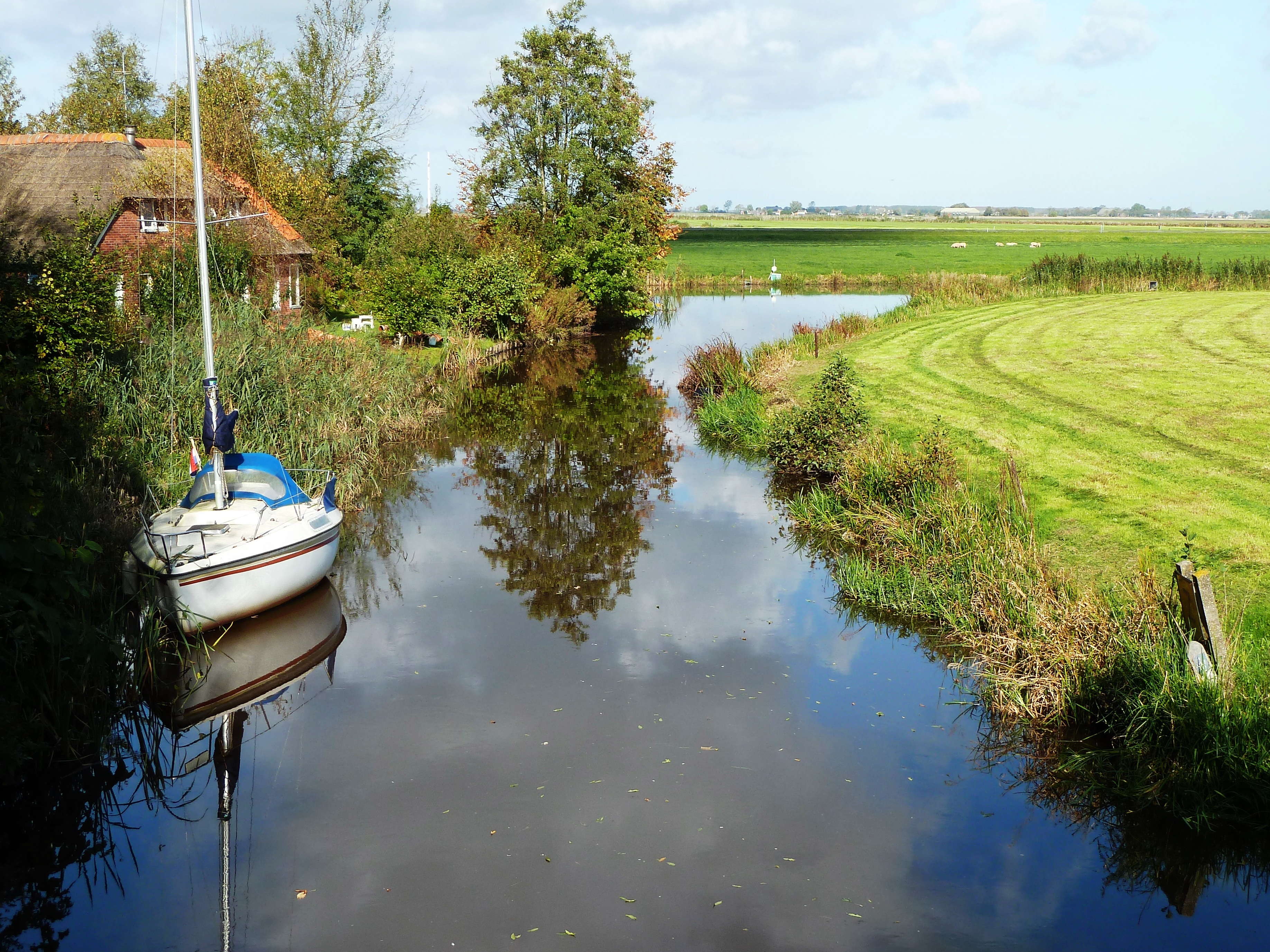 Foto van Visvliet