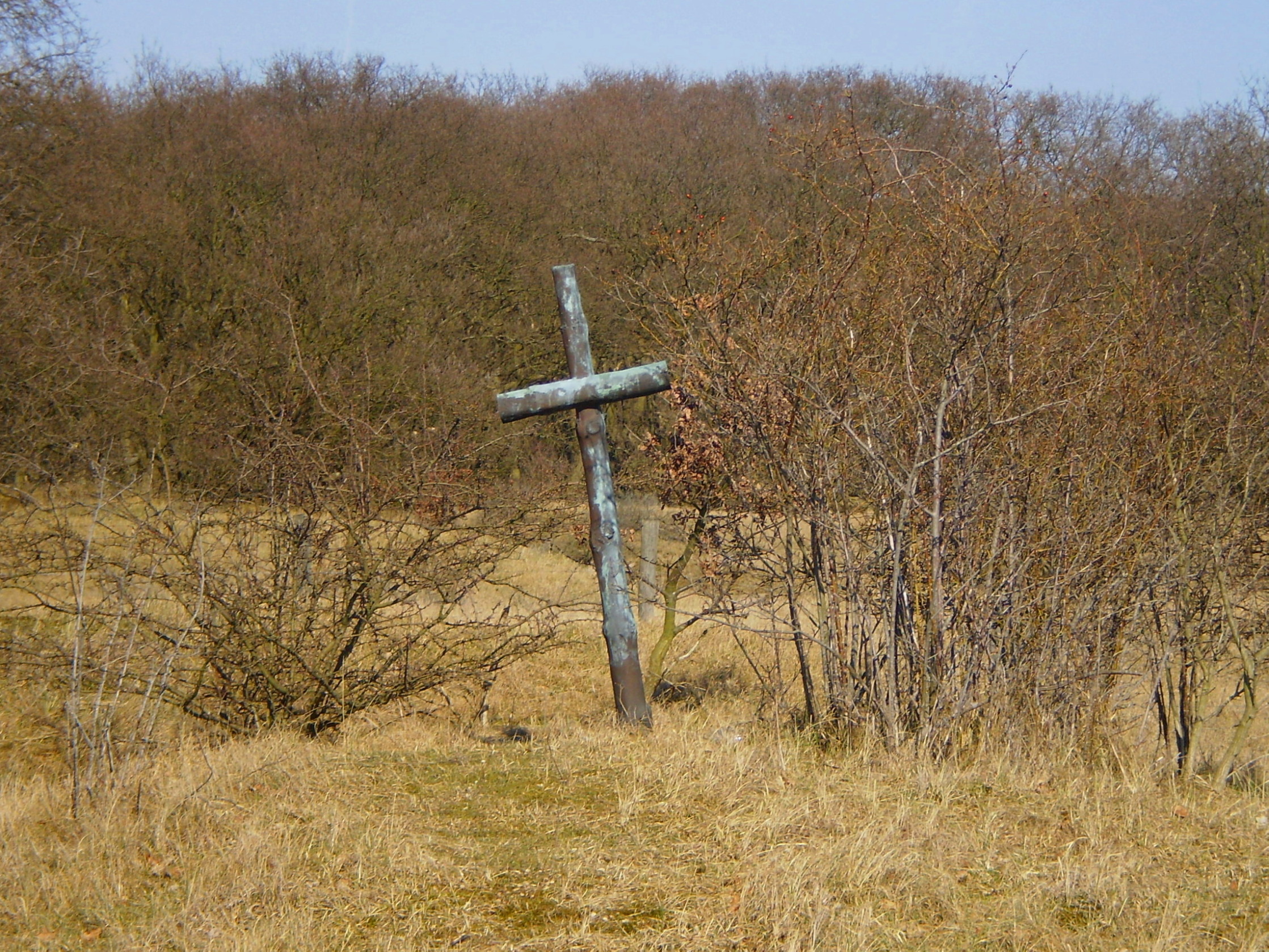 Foto van 2968 Waal
