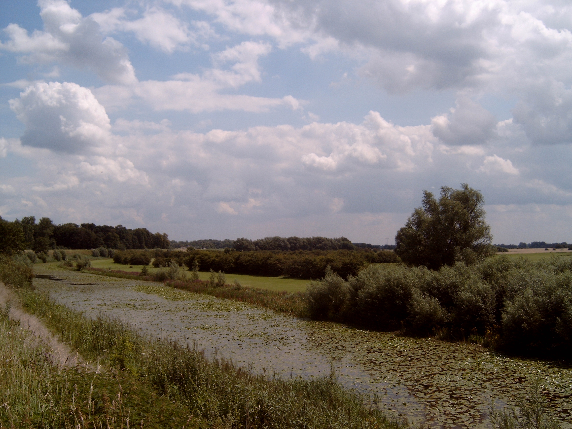 Foto van Waardenburg