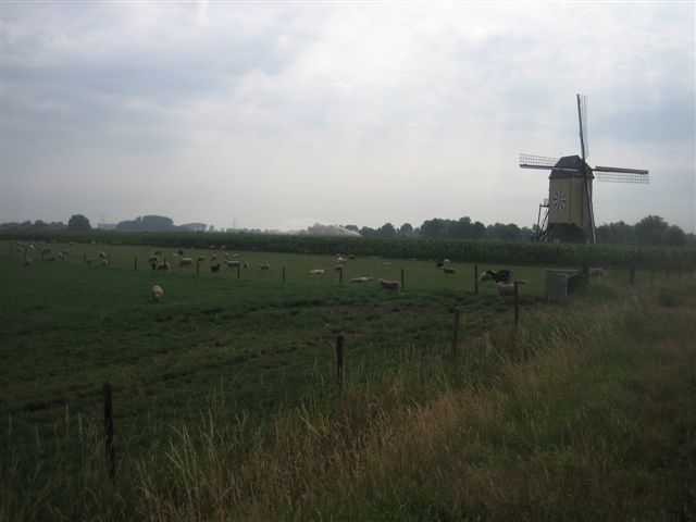 Foto van Wanroij
