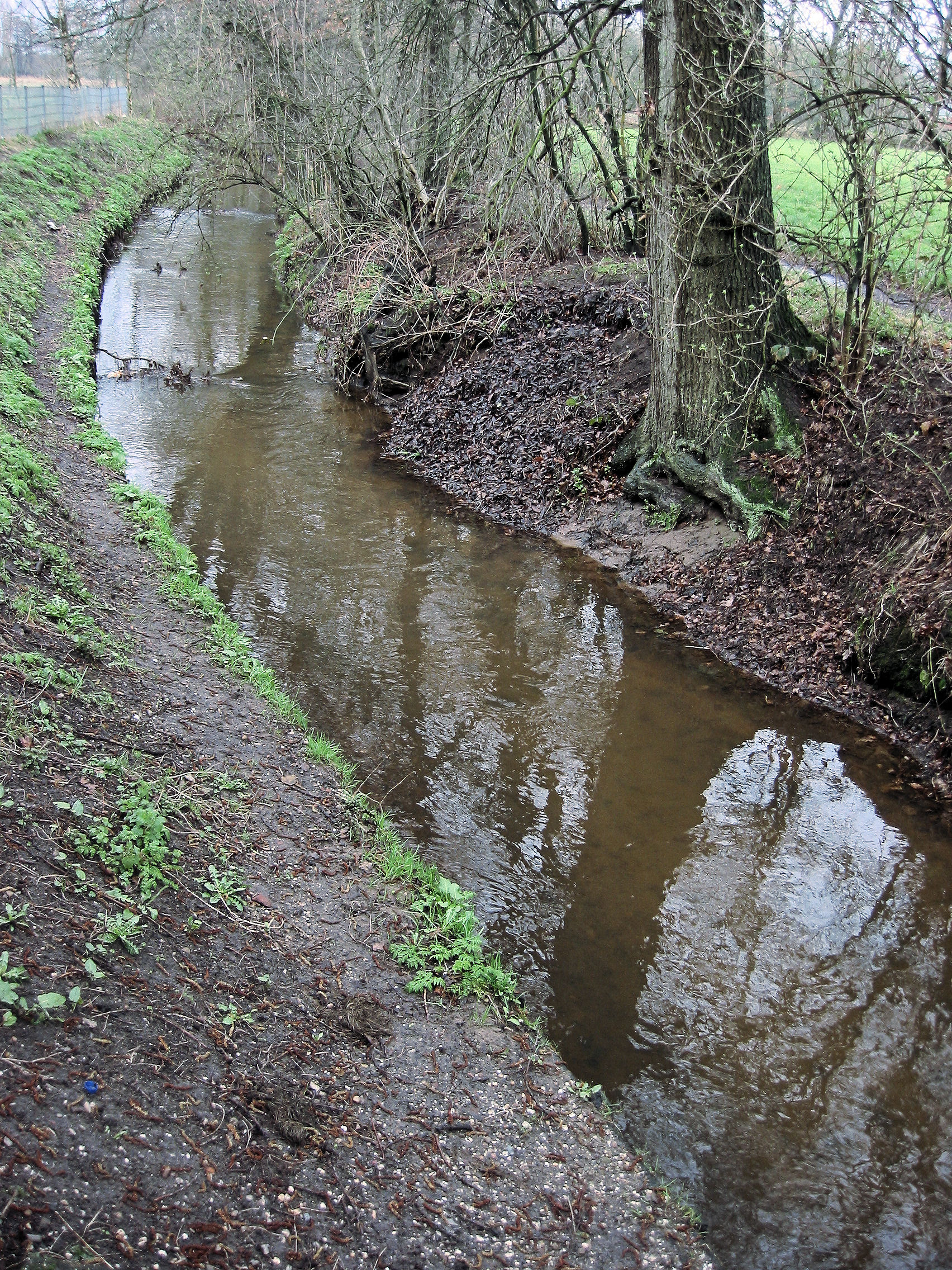 Foto van Wekerom