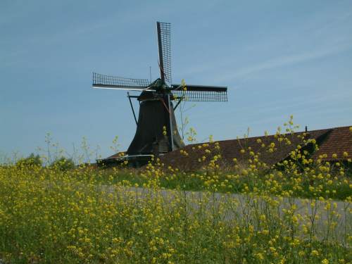 Foto van Westzaan