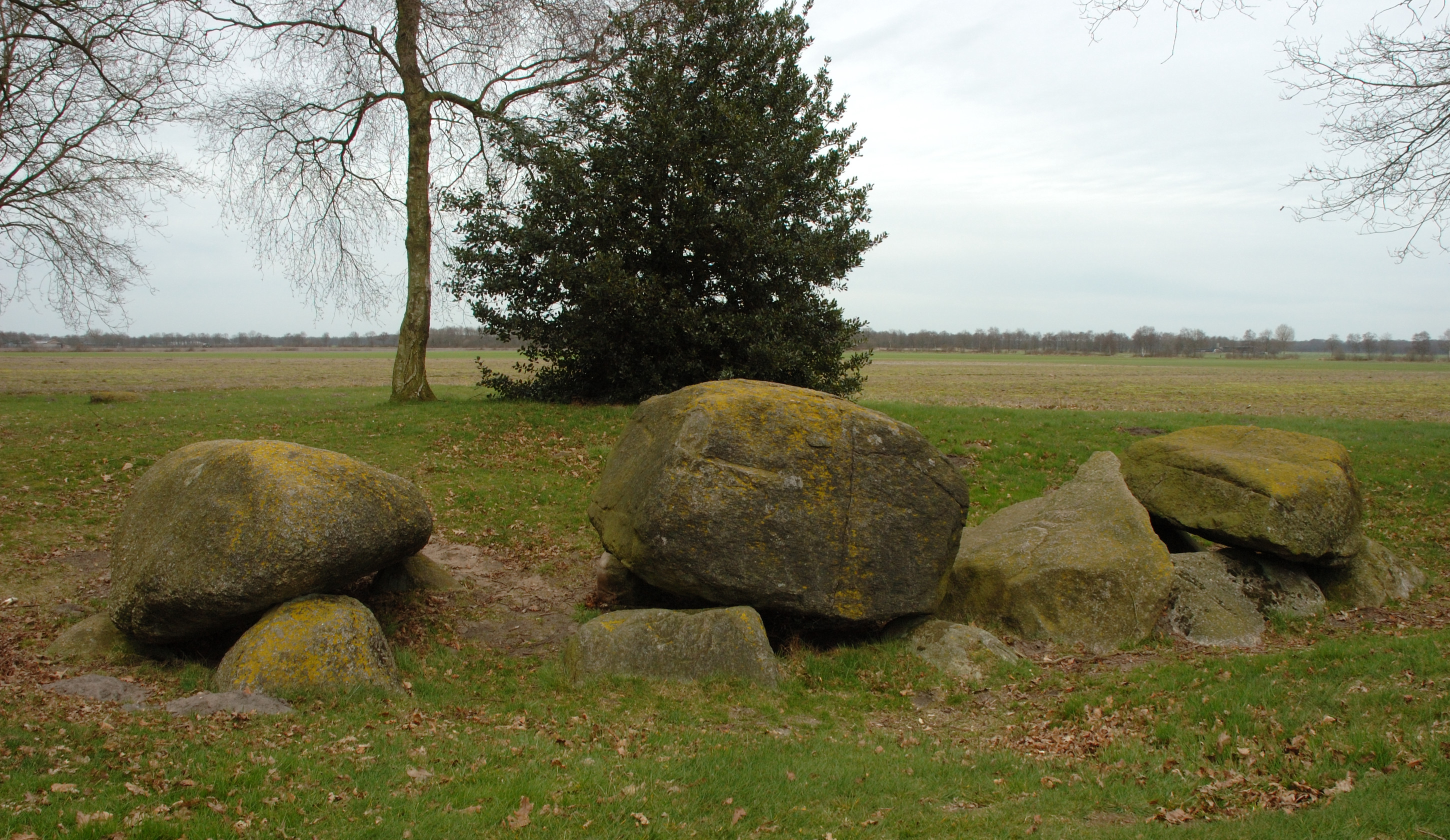 Foto van Zeijen