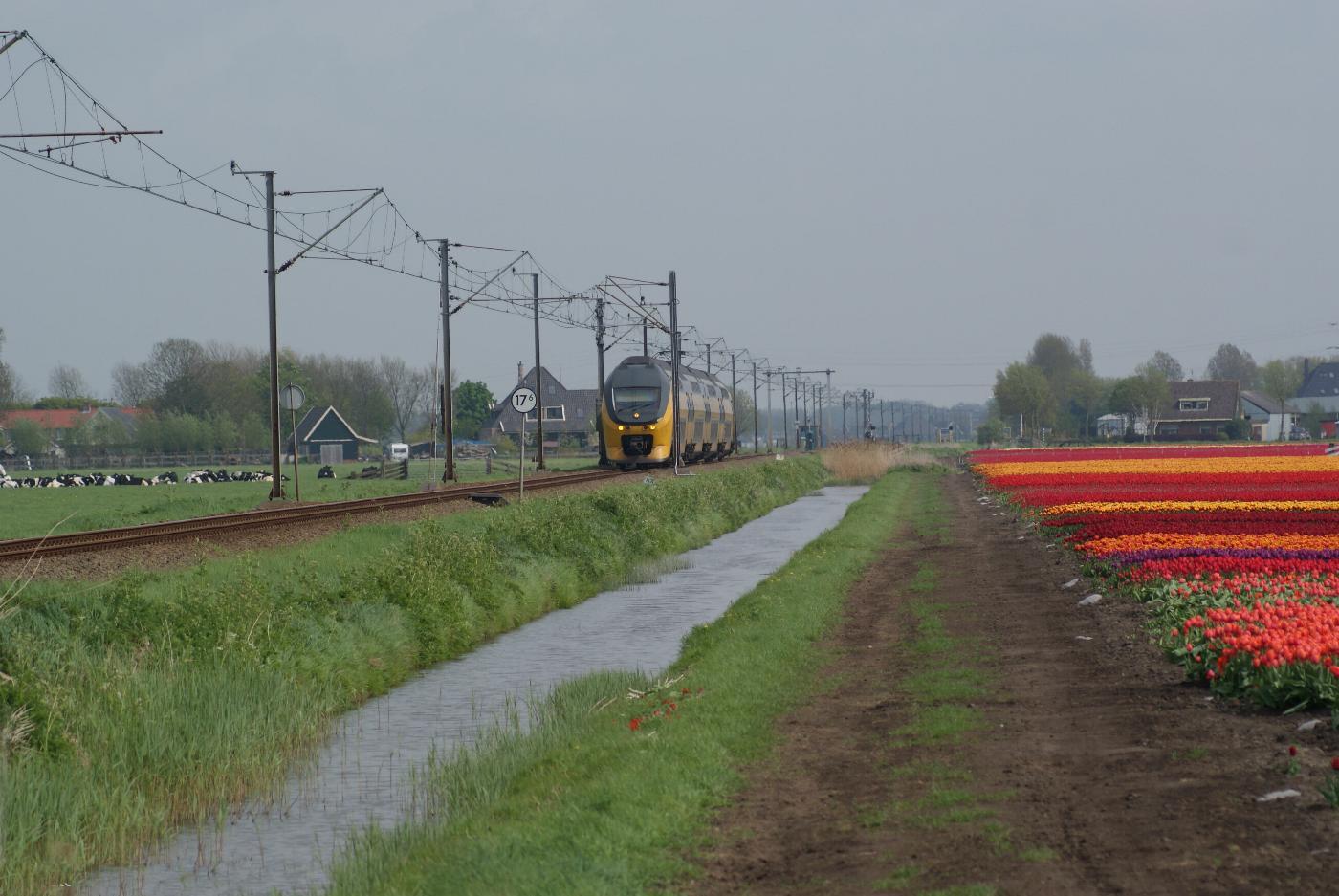 Foto van Zuidermeer