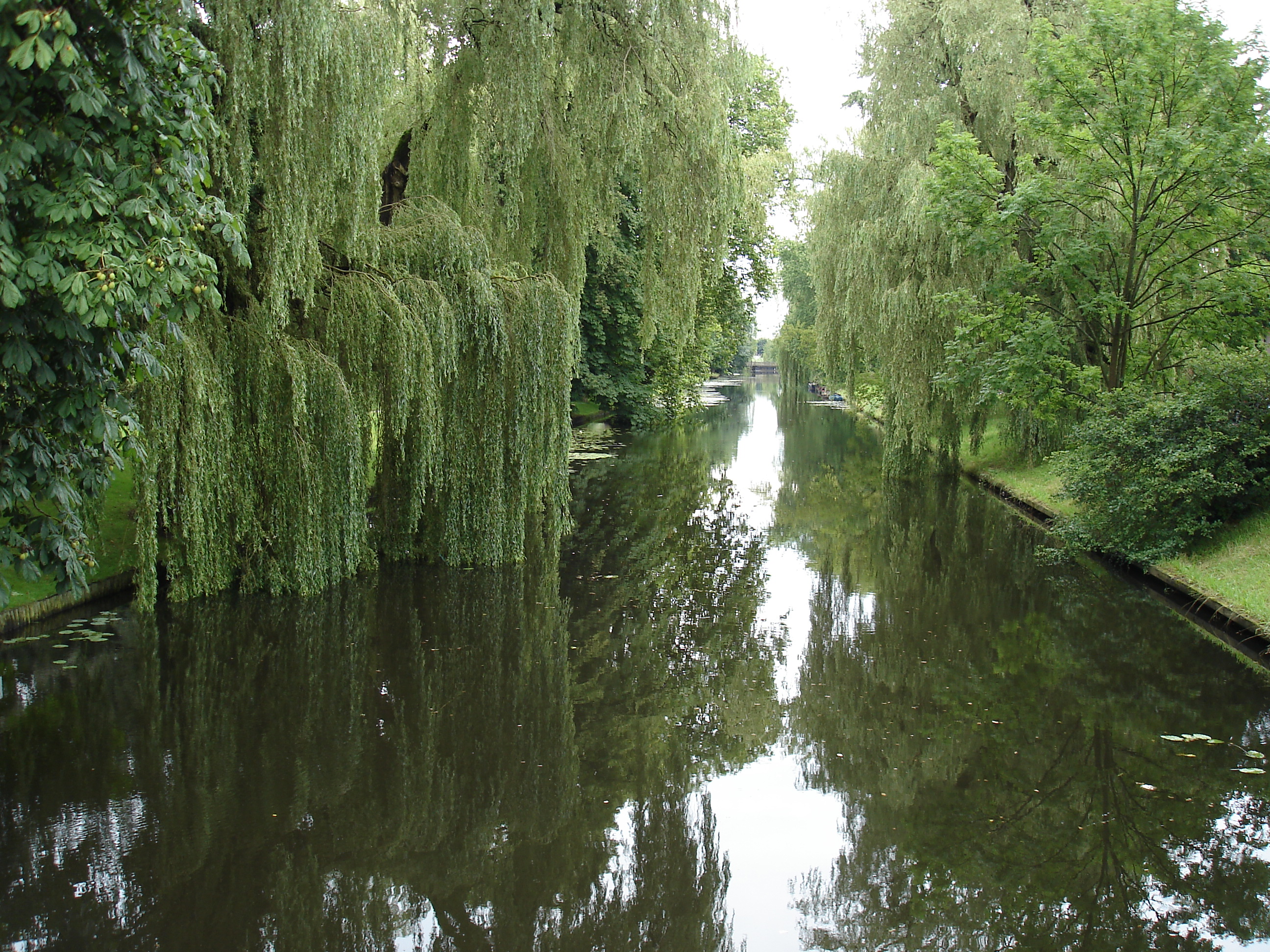 Foto van Zwolle