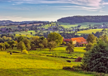 Provincie Limburg